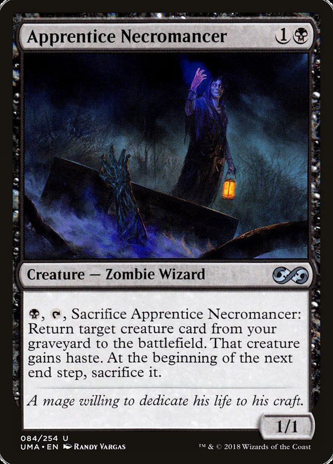 Apprentice Necromancer: Ultimate Masters