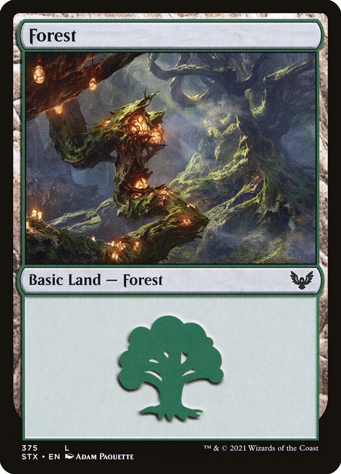 Forest (#375) - (Foil): Strixhaven: School of Mages