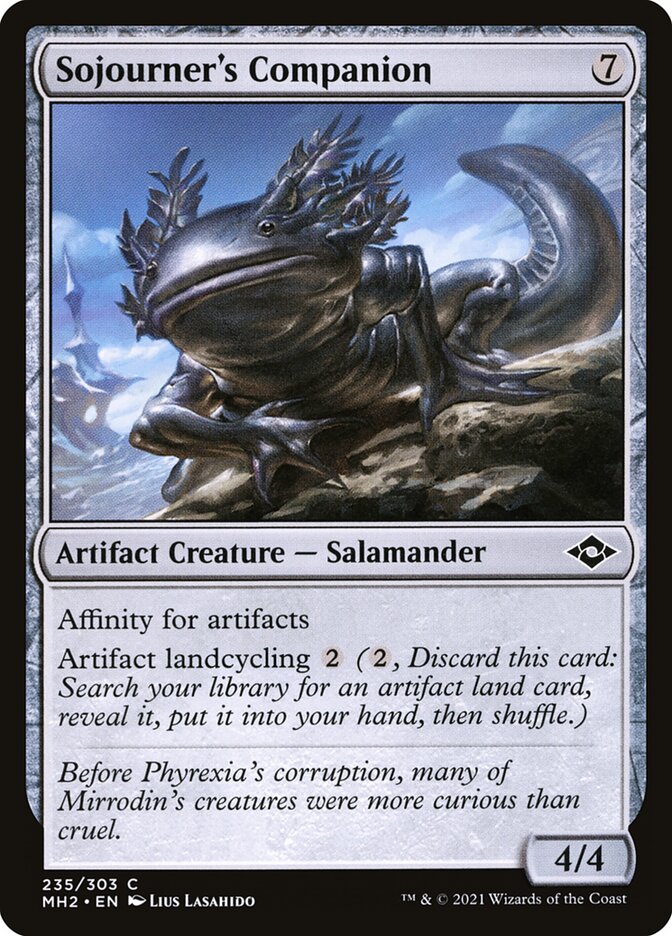 Sojourner's Companion: Modern Horizons 2