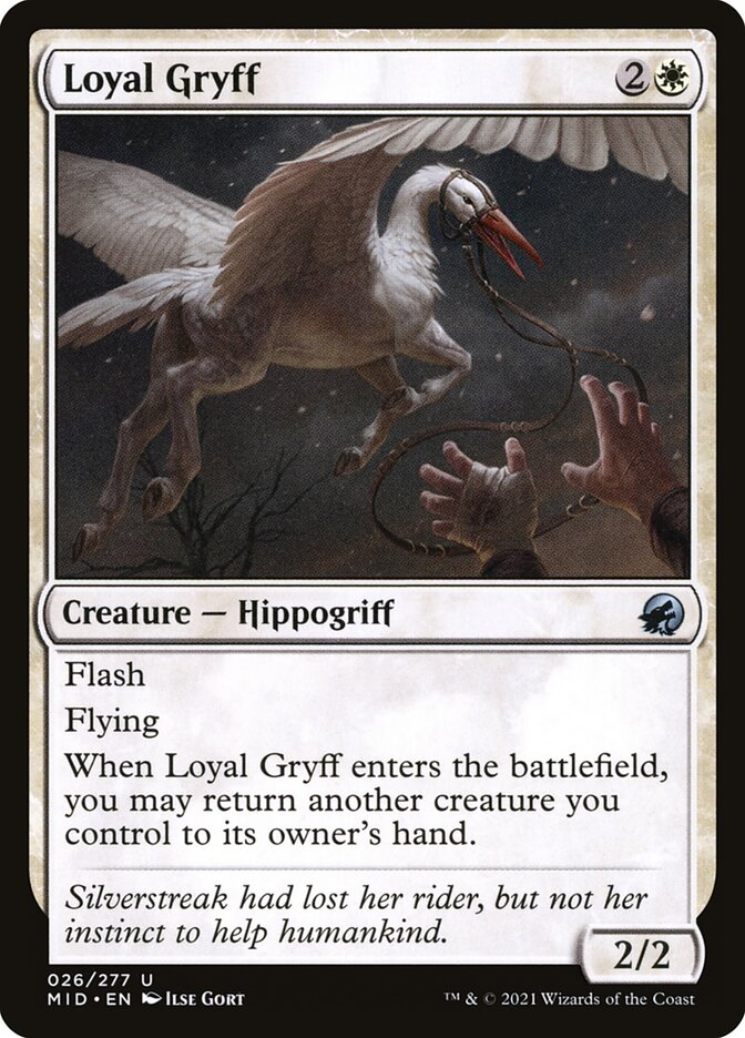 Loyal Gryff: Innistrad: Midnight Hunt