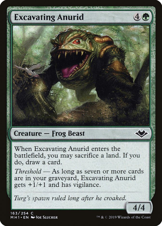 Excavating Anurid: Modern Horizons