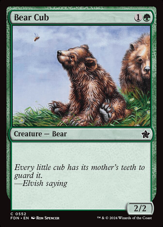 Bear Cub: Foundations