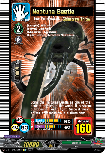 Neptune Beetle: D Booster Set 13: Flight of Chakrabarthi