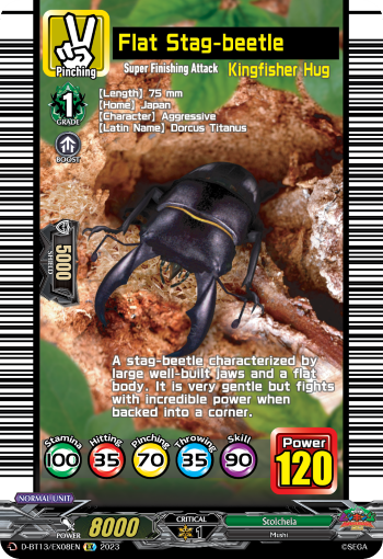Flat Stag-beetle: D Booster Set 13: Flight of Chakrabarthi