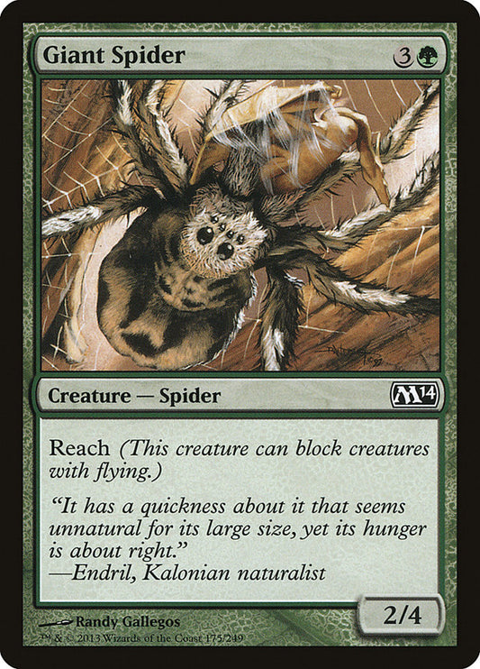 Giant Spider: Magic 2014