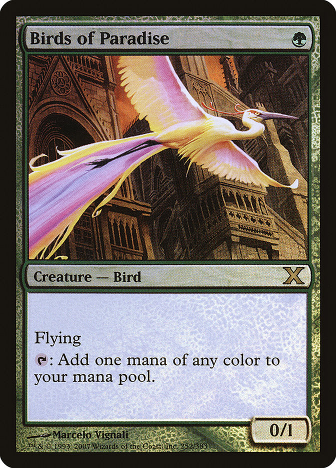 Birds of Paradise - (Foil): Tenth Edition