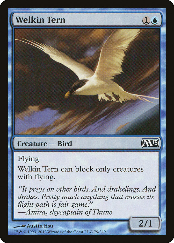 Welkin Tern: Magic 2013