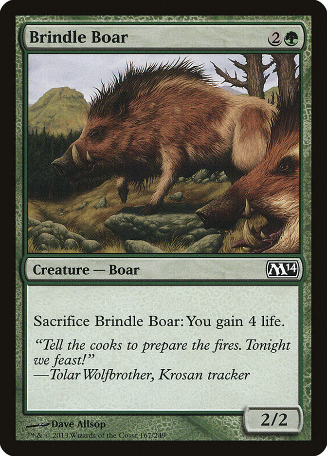 Brindle Boar: Magic 2014