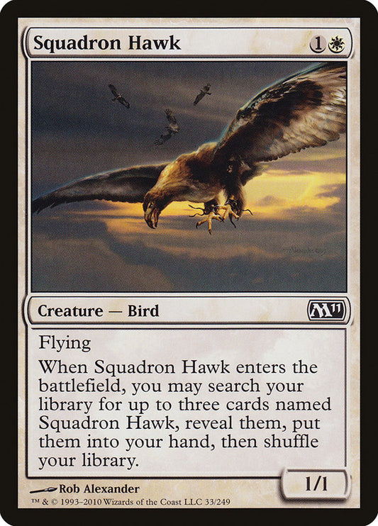 Squadron Hawk: Magic 2011