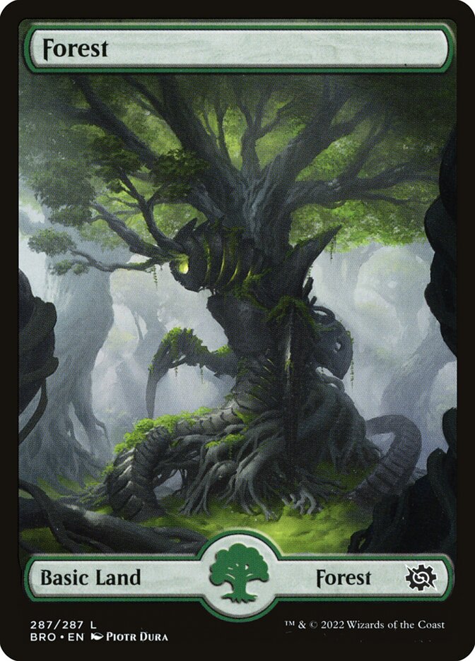 Forest (Full Art) (#287): The Brothers' War