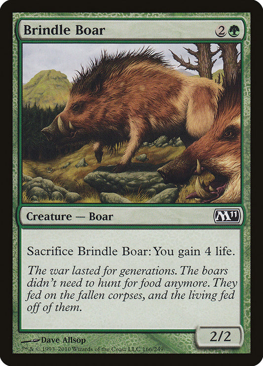Brindle Boar: Magic 2011