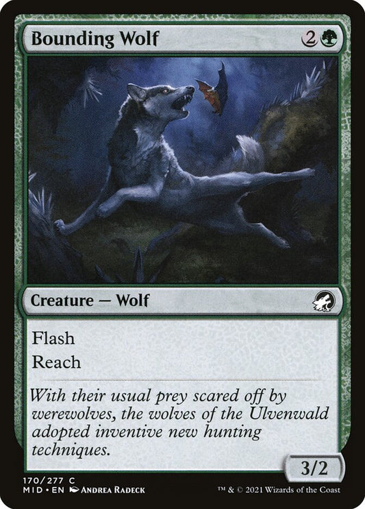 Bounding Wolf: Innistrad: Midnight Hunt