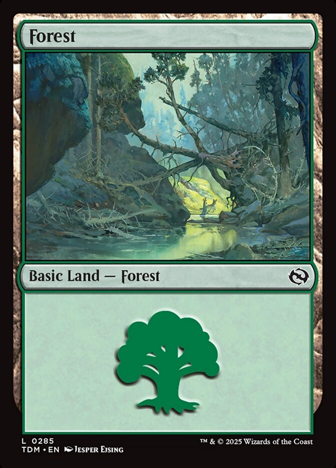 Forest (#285): Tarkir: Dragonstorm