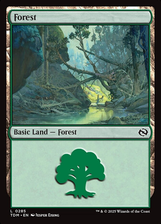 Forest (#285): Tarkir: Dragonstorm