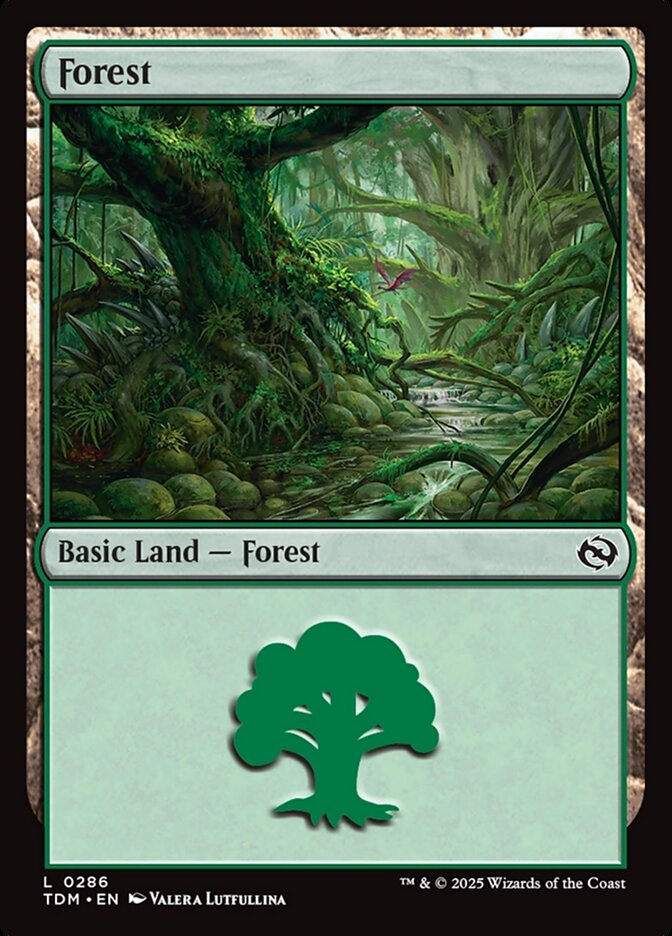 Forest (#286): Tarkir: Dragonstorm