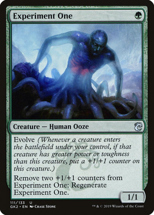 Experiment One: RNA Guild Kit