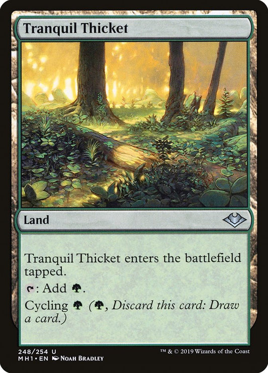 Tranquil Thicket - (Foil): Modern Horizons