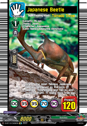 Japanese Beetle: D Booster Set 13: Flight of Chakrabarthi