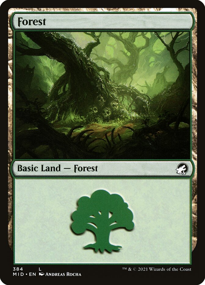 Forest (#384): Innistrad: Midnight Hunt