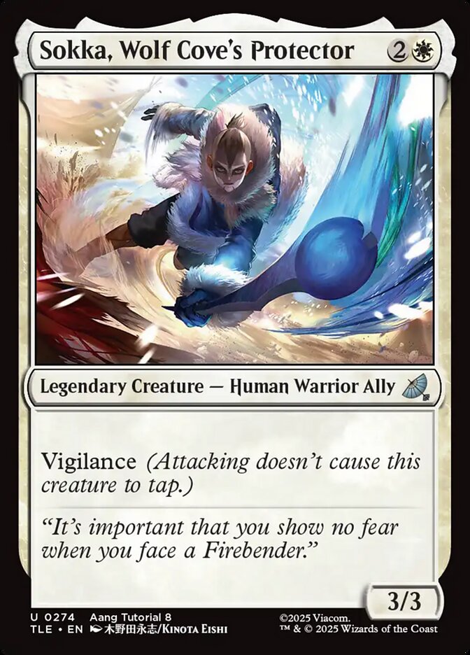 Sokka, Wolf Cove's Protector: Avatar: The Last Airbender Eternal
