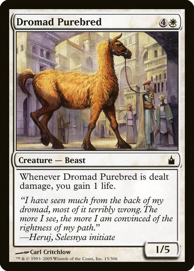Dromad Purebred: Ravnica: City of Guilds