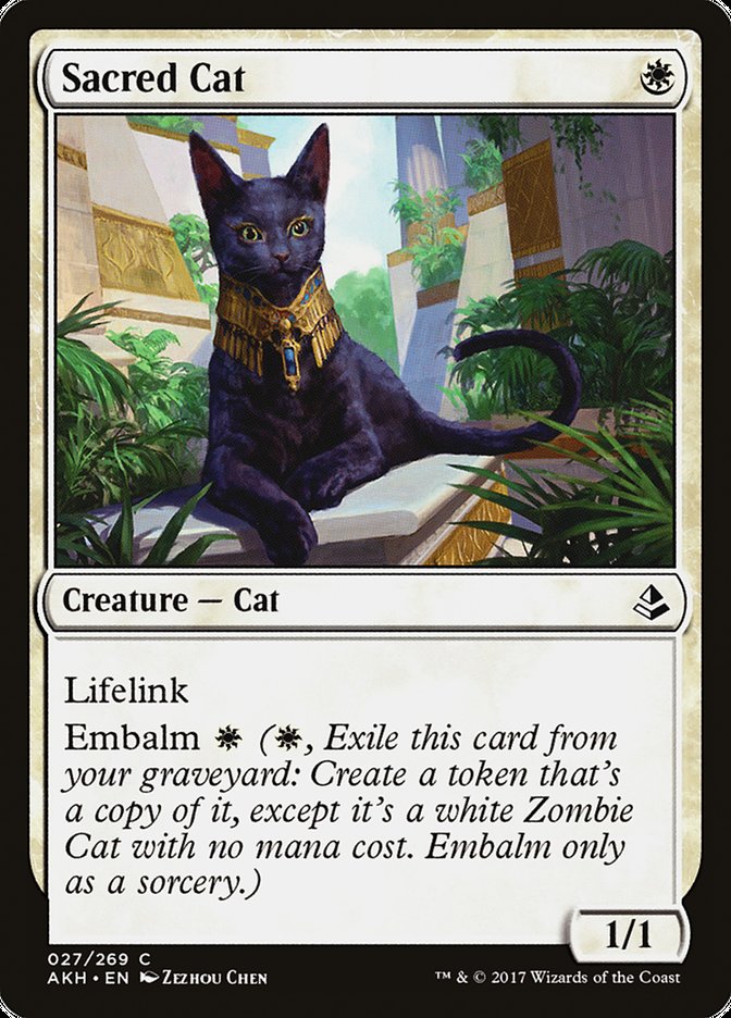 Sacred Cat: Amonkhet