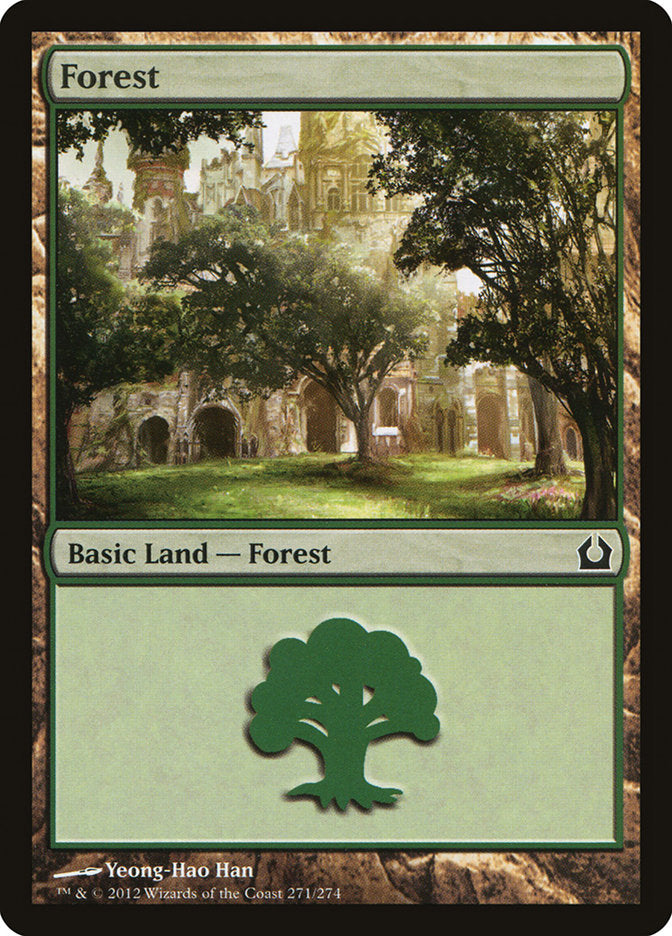 Forest (#271) - (Foil): Return to Ravnica