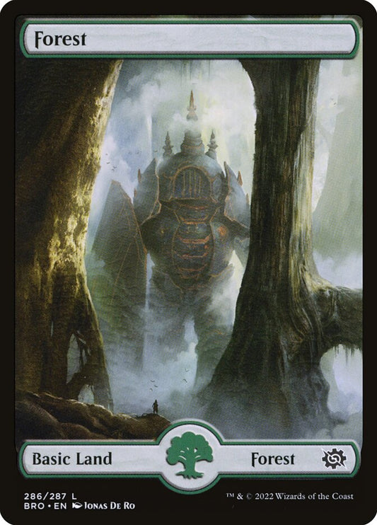 Forest (Full Art) (#286) - (Foil): The Brothers' War