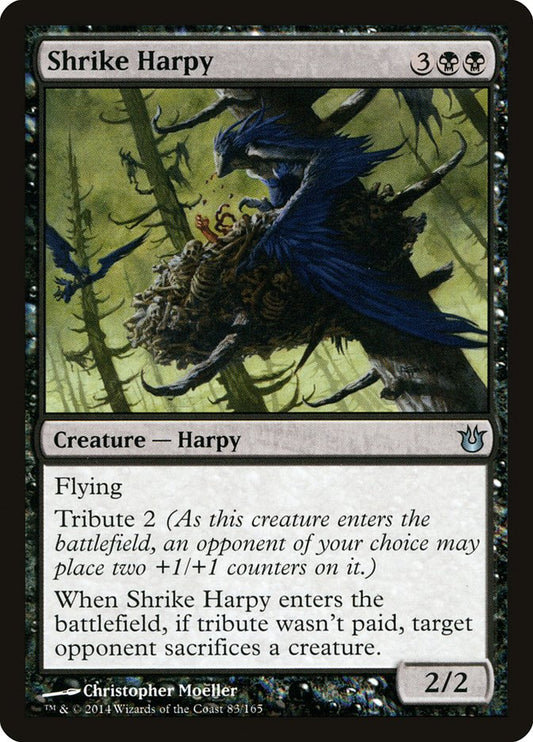 Shrike Harpy: Born of the Gods