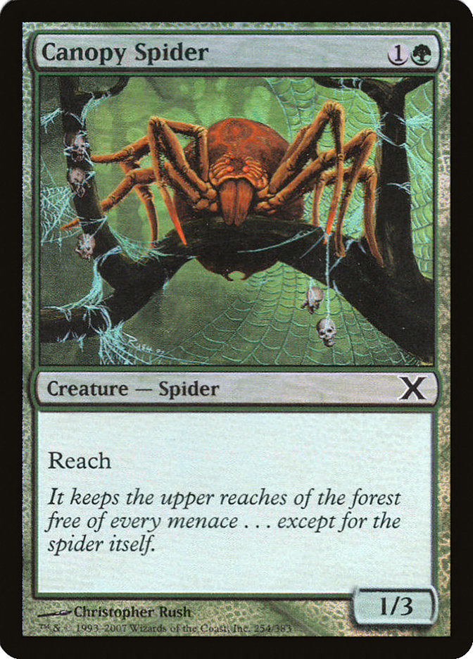 Canopy Spider - (Foil): Tenth Edition