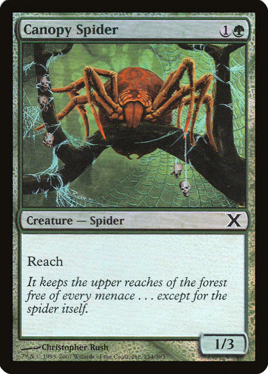Canopy Spider - (Foil): Tenth Edition