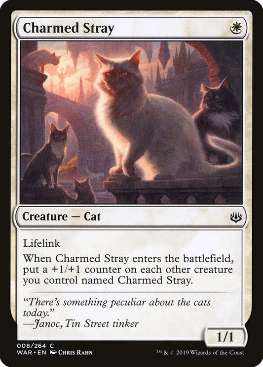 Charmed Stray: War of the Spark