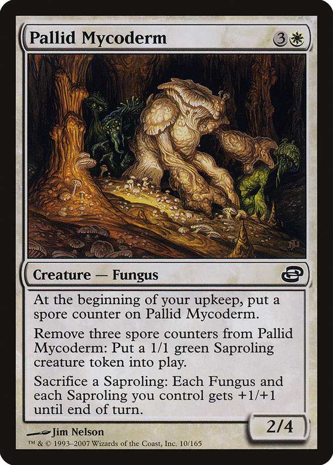 Pallid Mycoderm: Planar Chaos