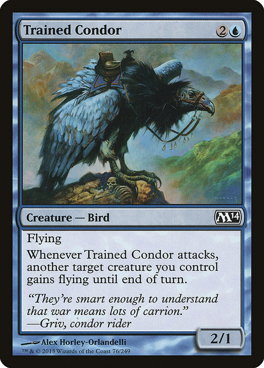 Trained Condor: Magic 2014