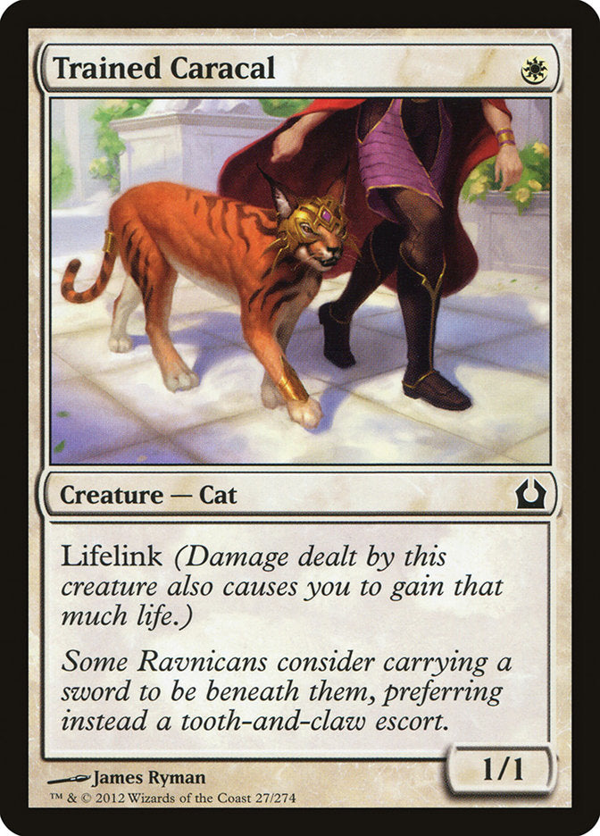 Trained Caracal - (Foil): Return to Ravnica