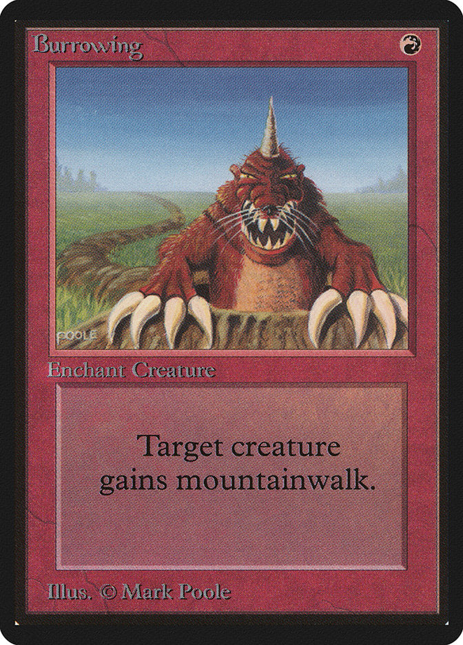 Burrowing: Limited Edition Beta