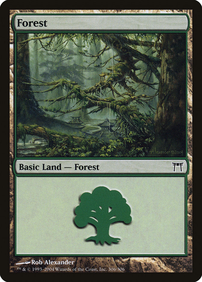 Forest (#306) - (Foil): Champions of Kamigawa