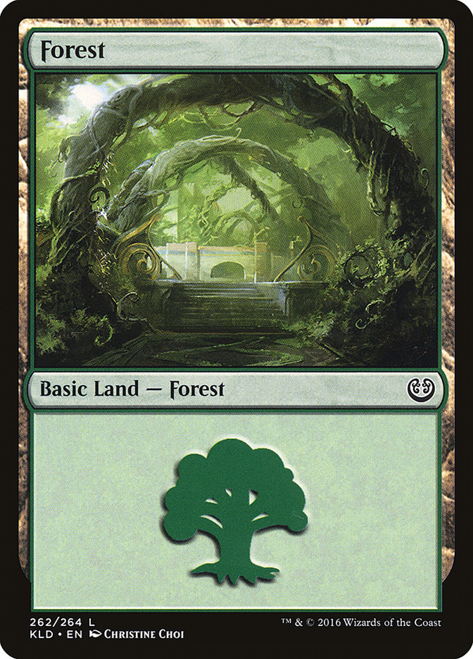 Forest (#262) - (Foil): Kaladesh