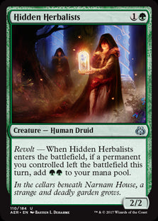 Hidden Herbalists: Aether Revolt