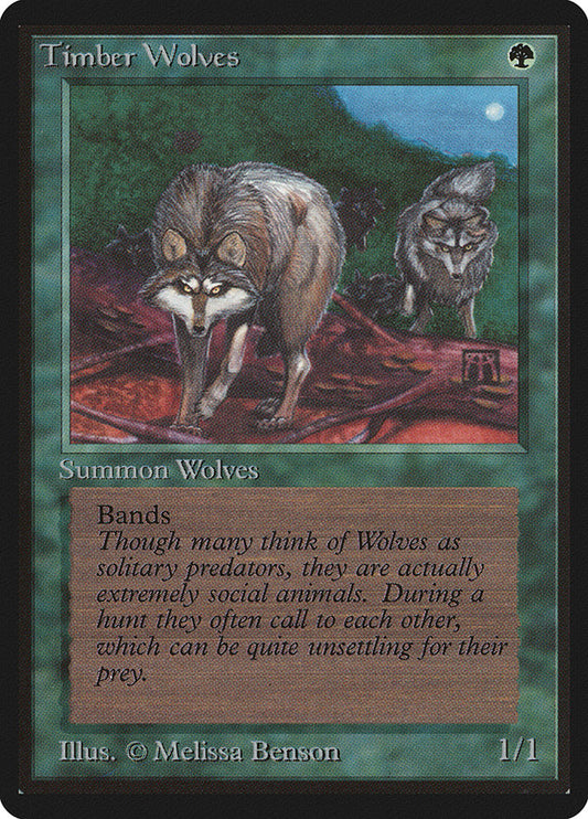 Timber Wolves: Limited Edition Beta