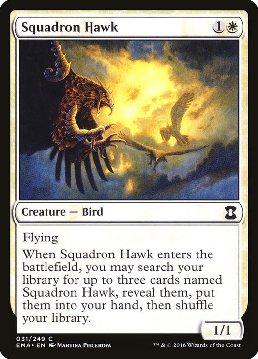 Squadron Hawk: Eternal Masters
