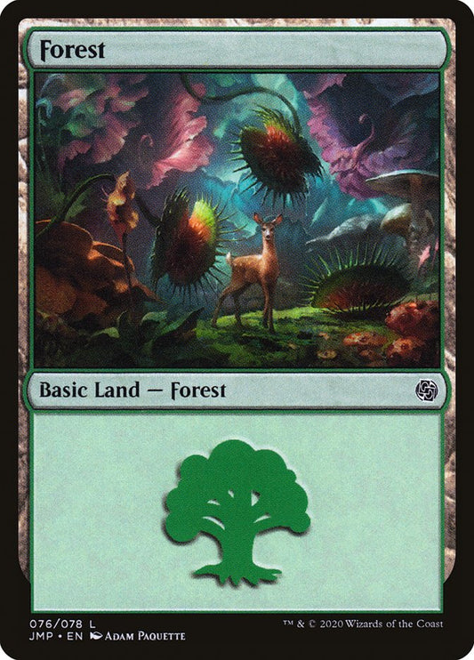Forest (#76): Jumpstart