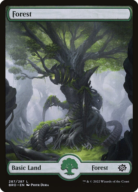 Forest (Full Art) (#287) - (Foil): The Brothers' War