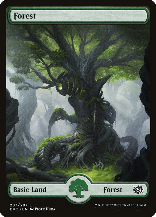 Forest (Full Art) (#287): The Brothers' War