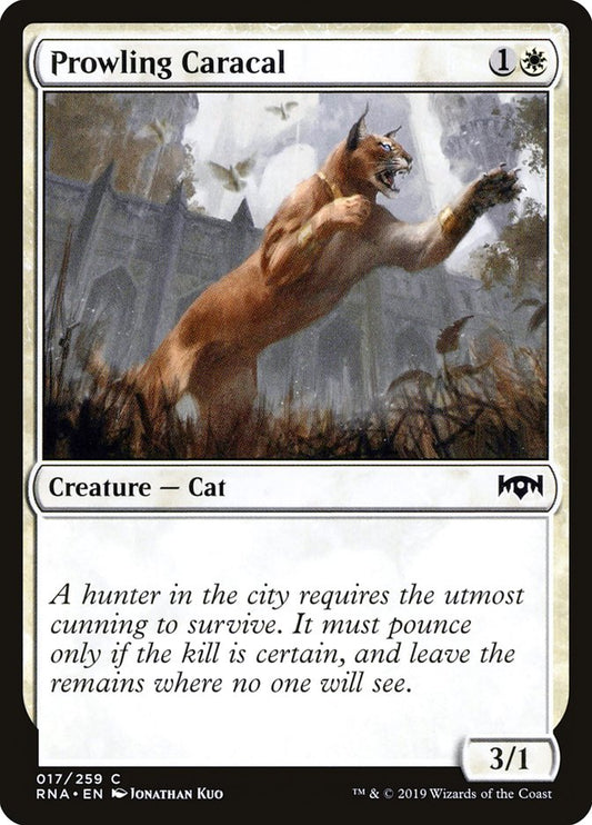 Prowling Caracal: Ravnica Allegiance