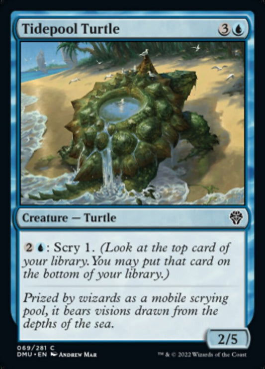 Tidepool Turtle - (Foil): Dominaria United