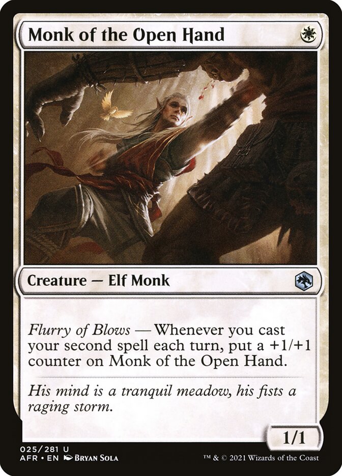 Monk of the Open Hand: Adventures in the Forgotten Realms