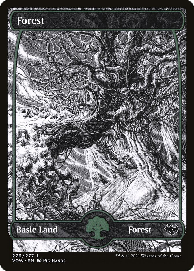 Forest (#276) (Full Art) - (Foil): Innistrad: Crimson Vow