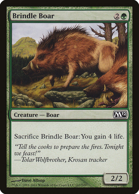 Brindle Boar: Magic 2012